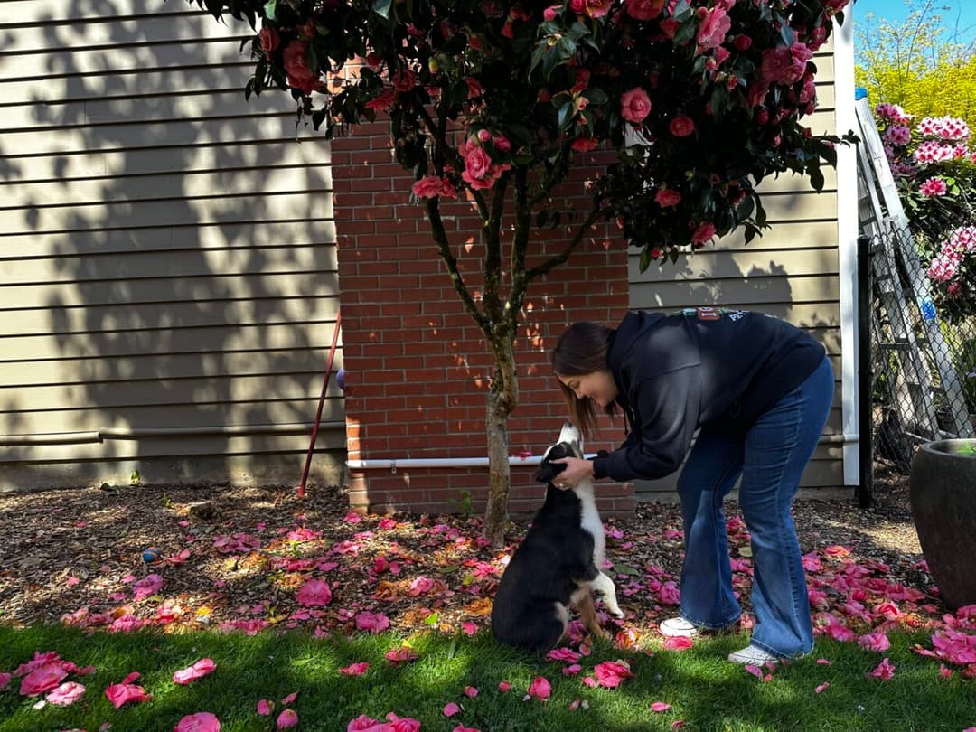 I Got You Poo owner greeting or caring for a dog in a local yard